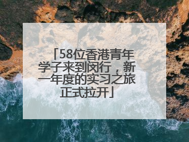 58位香港青年学子来到闵行，新一年度的实习之旅正式拉开