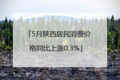 5月陕西居民消费价格同比上涨0.3%