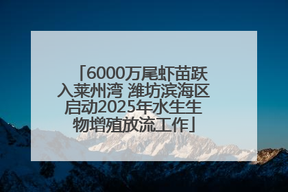 6000万尾虾苗跃入莱州湾 潍坊滨海区启动2025年水生生物增殖放流工作