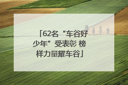 62名“车谷好少年”受表彰 榜样力量耀车谷