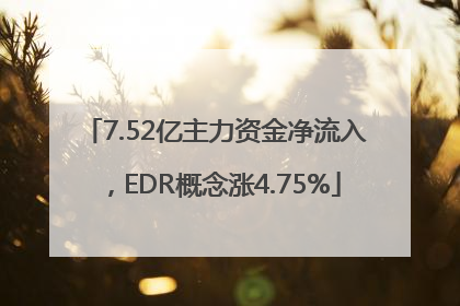 7.52亿主力资金净流入，EDR概念涨4.75%