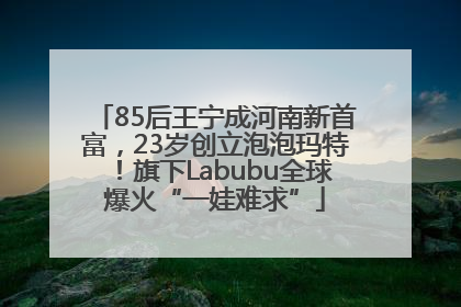 85后王宁成河南新首富，23岁创立泡泡玛特！旗下Labubu全球爆火“一娃难求”