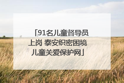 91名儿童督导员上岗 泰安织密困境儿童关爱保护网