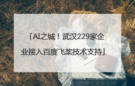 AI之城！武汉229家企业接入百度飞桨技术支持
