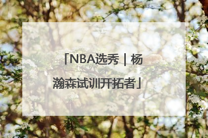 NBA选秀｜杨瀚森试训开拓者